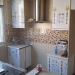 مجتبی تقی خانی دیجوجین