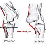 کلینیک ارتوپدی فنی پارسیان طب