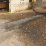 فروشندگی گازوئیل مرداسی