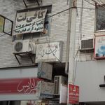 مهوش نظری 