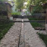 قوناخ باغی