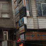 مهوش نظری 