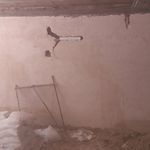 محسن قربانی