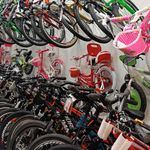 فروشگاه قصردوچرخه