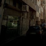 سبزی خرد کنی ریحون
