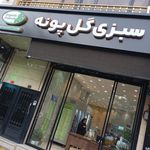 سبزی گل پونه