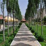 هتل پتروشیمی