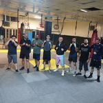 کلاب بوکس شاهین