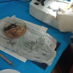 کلینیک زیبایی آرینا