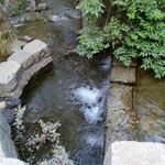 باغ وکیل اباد