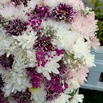 Lennaa  گل آرایی لوکس