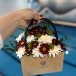 آموزش شنا کودکان دختر و پسر نگین بشیریان
