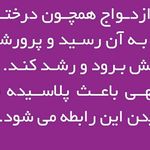 دکتر روانشناس (فاطمه رحمانی)