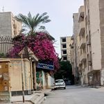 مدرسه