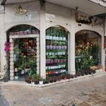 موسسه گل کنتیا