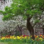 روستای گچسر