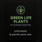 گروه greenlifeplants