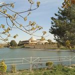 بوستان هامون