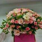 گلسرای آمالیس