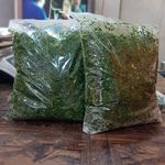 خانه سبزی ژیکبان