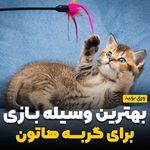 پت شاپ پرشین