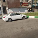 بوقلمون توس