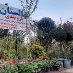 مجتمع گل و گیاه بازوبندی