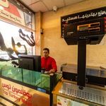 بوقلمون توس