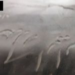 شرکت مازند ماشین