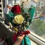کلینیک کاردرمانی و گفتاردرمانی آوید
