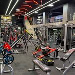 باشگاه شیر ایرانی