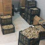 فروشگاه تخم مرغ پکر
