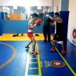 گروه آموزش بوکس دستکش زرین (استادرضا علیخانی)