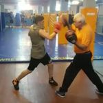 گروه آموزش بوکس دستکش زرین (استادرضا علیخانی)