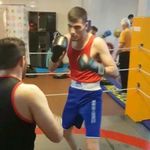 گروه آموزش بوکس دستکش زرین (استادرضا علیخانی)