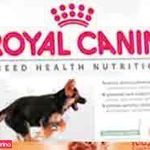 کلینیک دامپزشکی ظفر