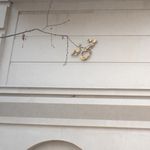 مجتمع نور