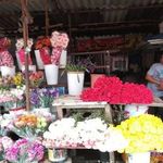 بازار گل شهرداری تهران