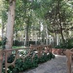 پارک جنگلی بهمن