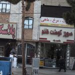 پروتین لند