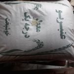 برنجکوبی کارون