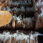 خشکه وقندی پزی طلوع