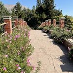 بوستان جنگلی جهان نما