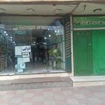 سایه سبز