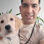 خدمات و لوازم حیوانات شرافتی