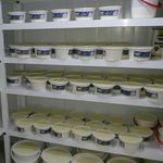 لبنیات و بستنی سنتی صدیقی