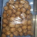 لبنیات و بستنی سنتی صدیقی