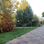 بوستان ارس