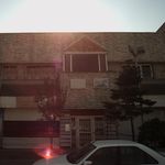 دکتر علی شافی