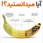 باشگاه یزدان